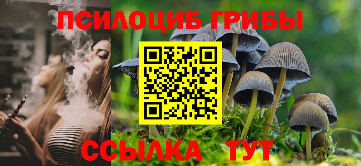 Галлюциногенные грибы Psilocybine cubensis Коркино